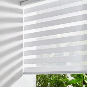Zebra Blinds