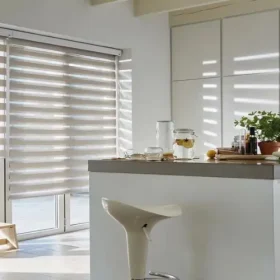 Zebra Blinds