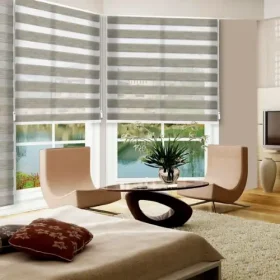 Zebra Blinds