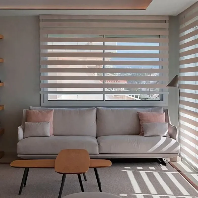 korean zebra blinds