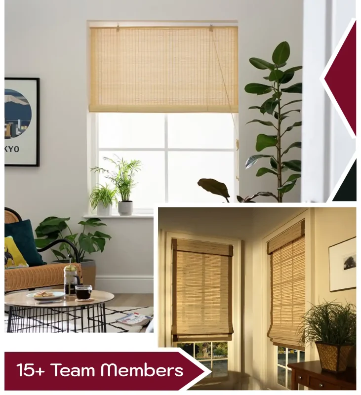 Stylish Bamboo Blinds