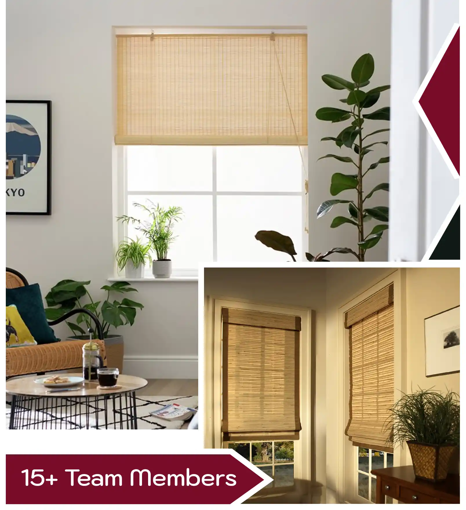 Stylish Bamboo Blinds